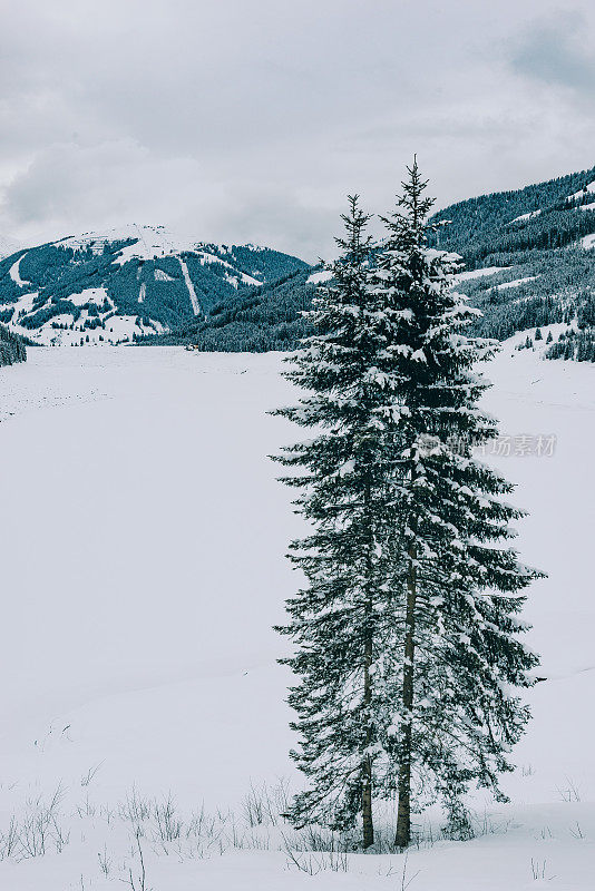 在白雪覆盖和冰冻的Speicher Durlassboden湖与松树和白雪覆盖的山脉